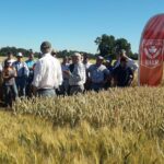 Dia de campo en Perquenco